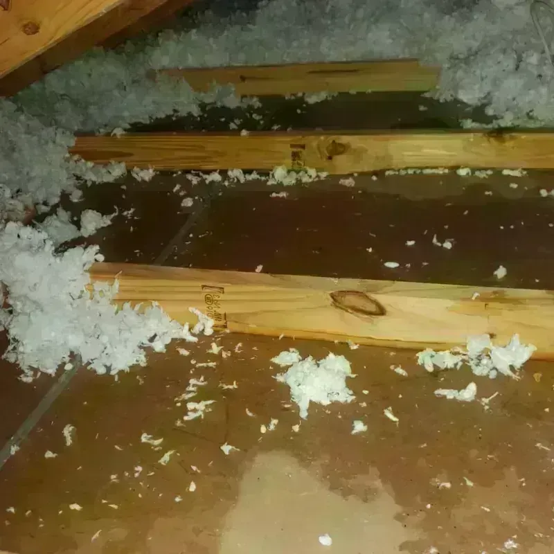 Attic Water Damage in Terre Haute, MO