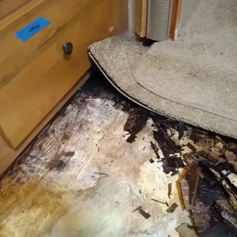 Wood Floor Water Damage in Terre Haute, MO